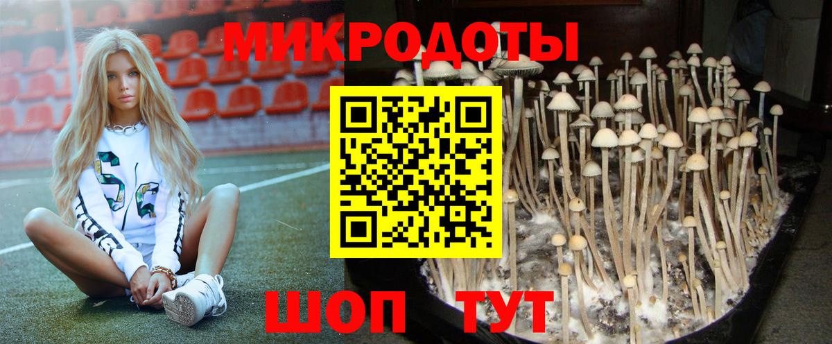 Рославль  Псилоцибиновые грибы Psilocybine cubensis  Вход с VPN  Псилоцибиновые грибы Cubensis 